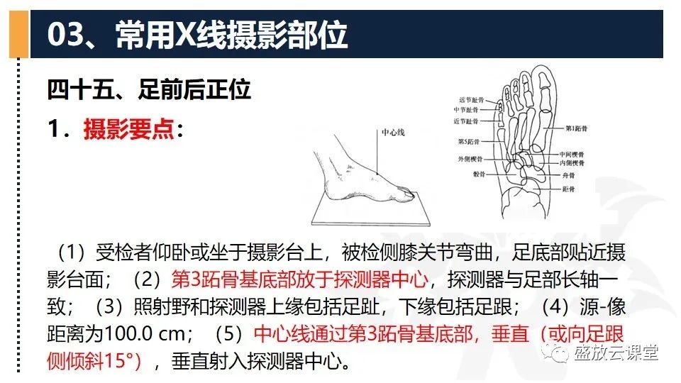 影像PPT - 【PPT】数字X线摄影检查（三）-31