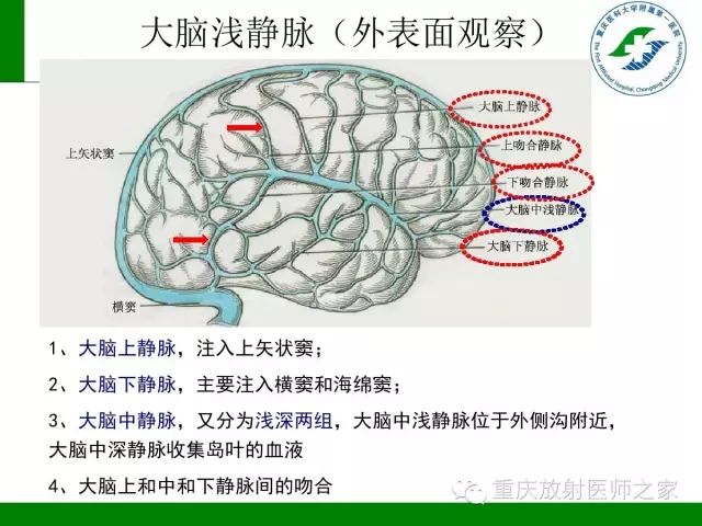 影像PPT - 【PPT】脑静脉解剖及相关疾病影像学诊断-6
