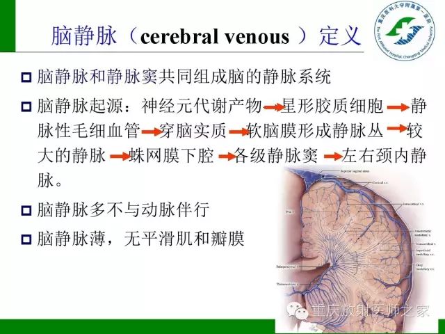 影像PPT - 【PPT】脑静脉解剖及相关疾病影像学诊断-3
