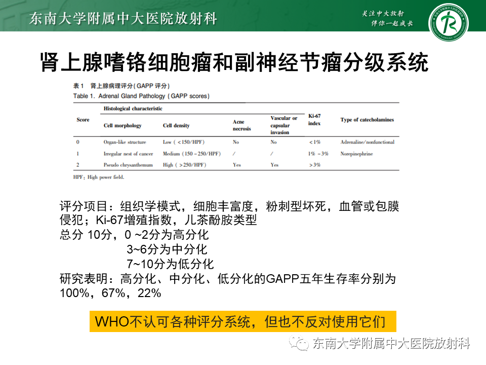 影像PPT - 【PPT】肾上腺嗜铬细胞瘤的影像诊断-10 影像PPT - 【PPT】肾上腺嗜铬细胞瘤的影像诊断-10