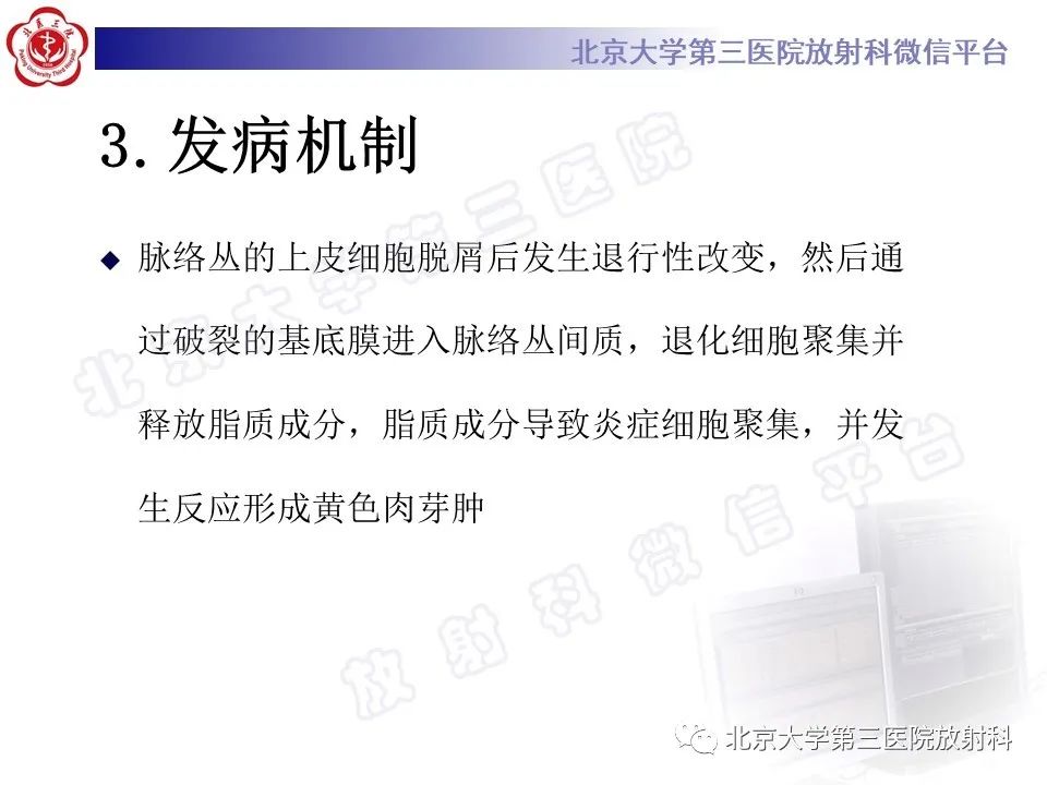 影像PPT - 【PPT】脉络丛黄色肉芽肿-8