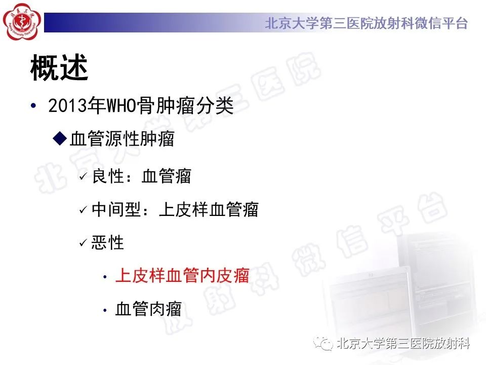 影像PPT - 【PPT】脊柱上皮样血管内皮瘤-14