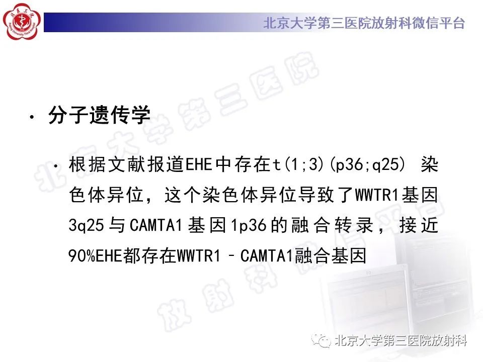 影像PPT - 【PPT】脊柱上皮样血管内皮瘤-16