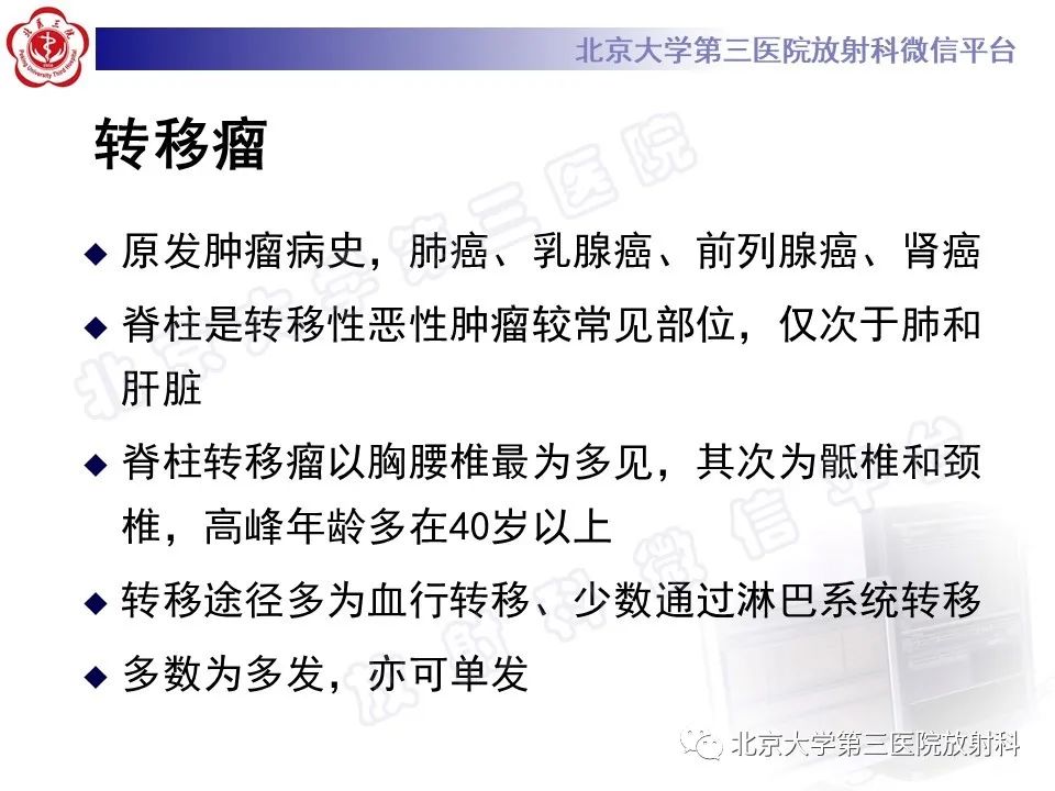 影像PPT - 【PPT】脊柱上皮样血管内皮瘤-25