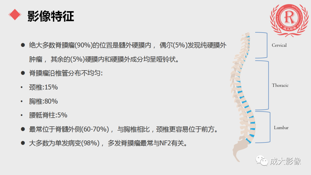 影像PPT - 【PPT】脊膜瘤影像表现-9
