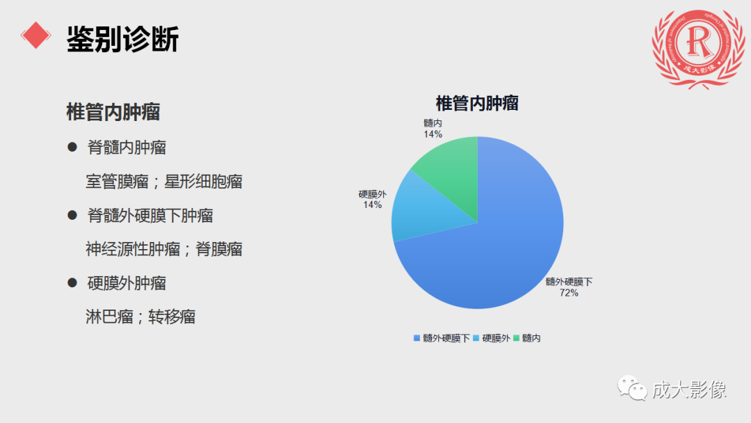 影像PPT - 【PPT】脊膜瘤影像表现-13