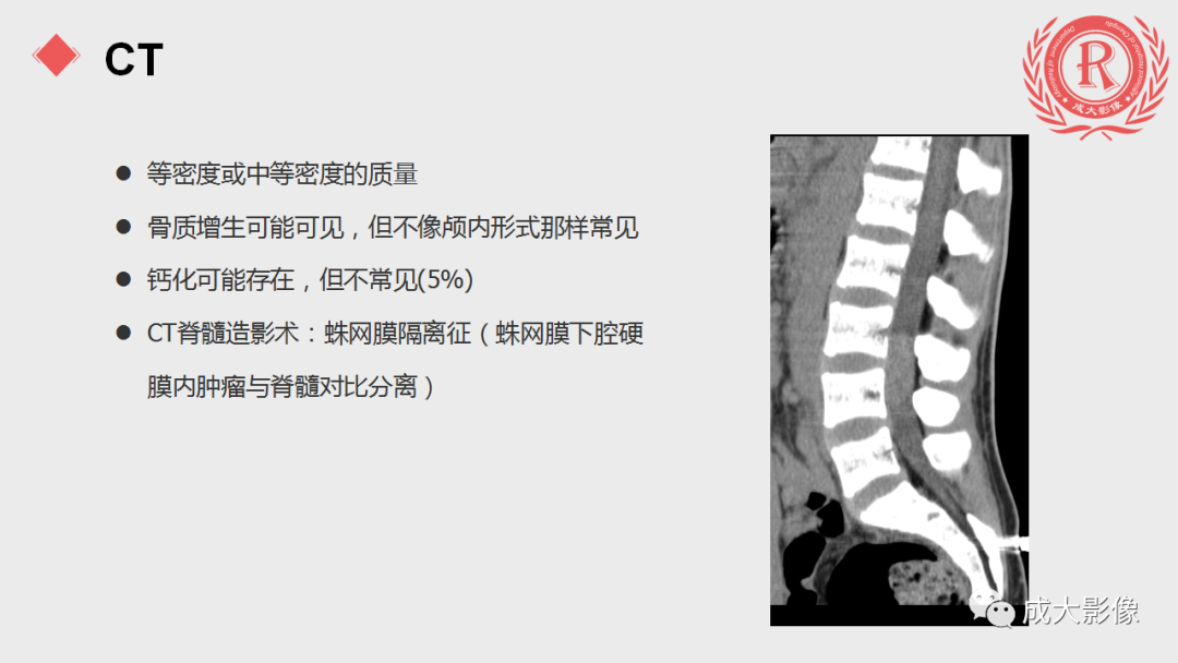 影像PPT - 【PPT】脊膜瘤影像表现-12