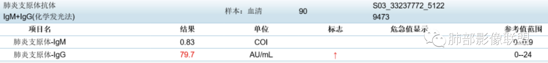 影像PPT - 【病例】拐枣或树芽征的肺部病变-30 影像PPT - 【病例】拐枣或树芽征的肺部病变-30