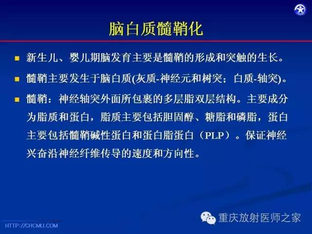 影像PPT - 【PPT】脑白质髓鞘化及相关疾病的MRI表现-3