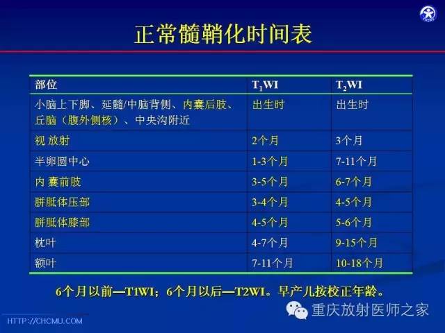 影像PPT - 【PPT】脑白质髓鞘化及相关疾病的MRI表现-12