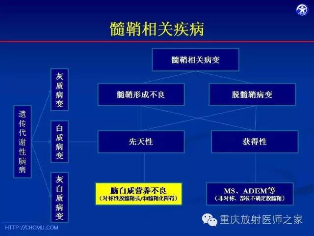 影像PPT - 【PPT】脑白质髓鞘化及相关疾病的MRI表现-18