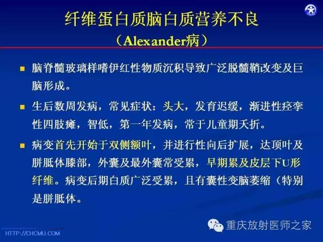 影像PPT - 【PPT】脑白质髓鞘化及相关疾病的MRI表现-21