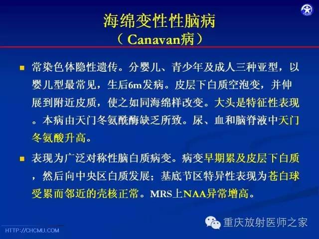 影像PPT - 【PPT】脑白质髓鞘化及相关疾病的MRI表现-24