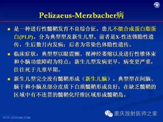 影像PPT - 【PPT】脑白质髓鞘化及相关疾病的MRI表现-38