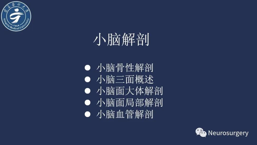 影像PPT - 【PPT】小脑解剖-3