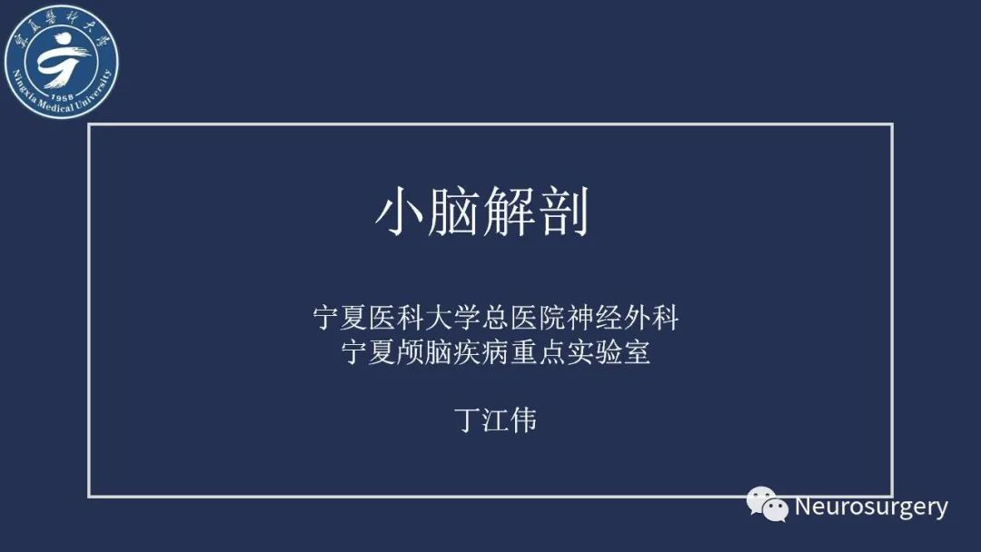 影像PPT - 【PPT】小脑解剖-1