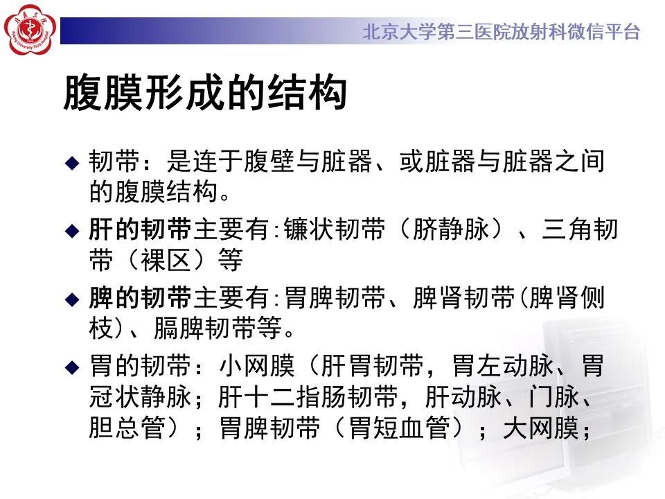 影像PPT - 【PPT】 腹膜及腹膜后解剖及影像-8