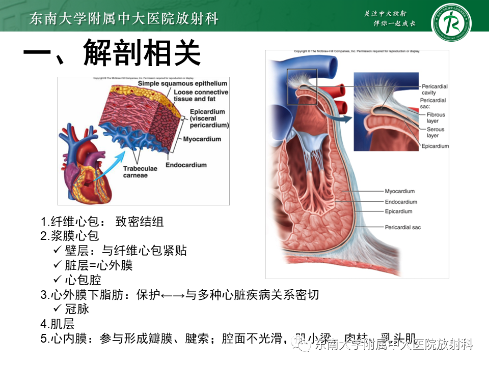 影像PPT - 【PPT】生理性和病理性心肌脂肪浸润-6