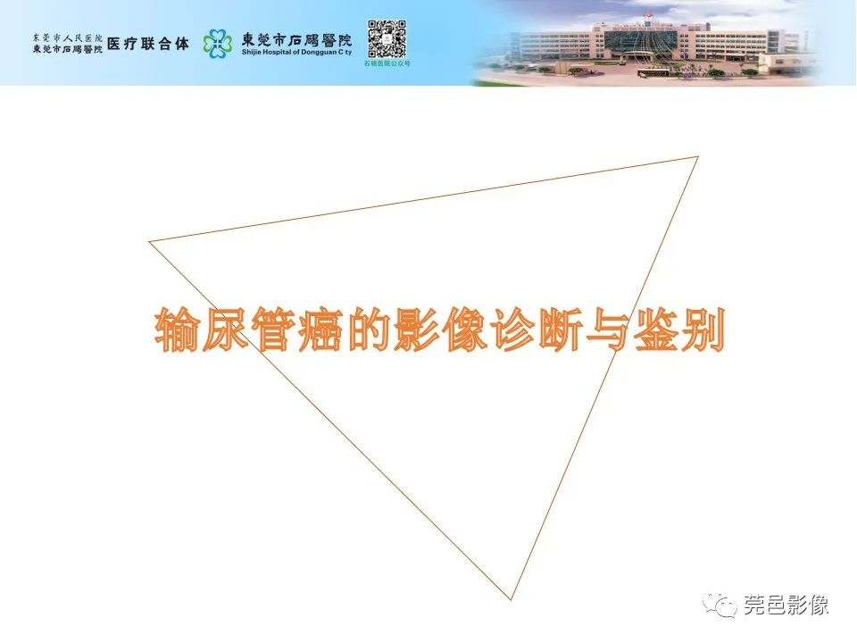 影像PPT - 【病例】输尿管癌并肾自发破裂一例CT-16