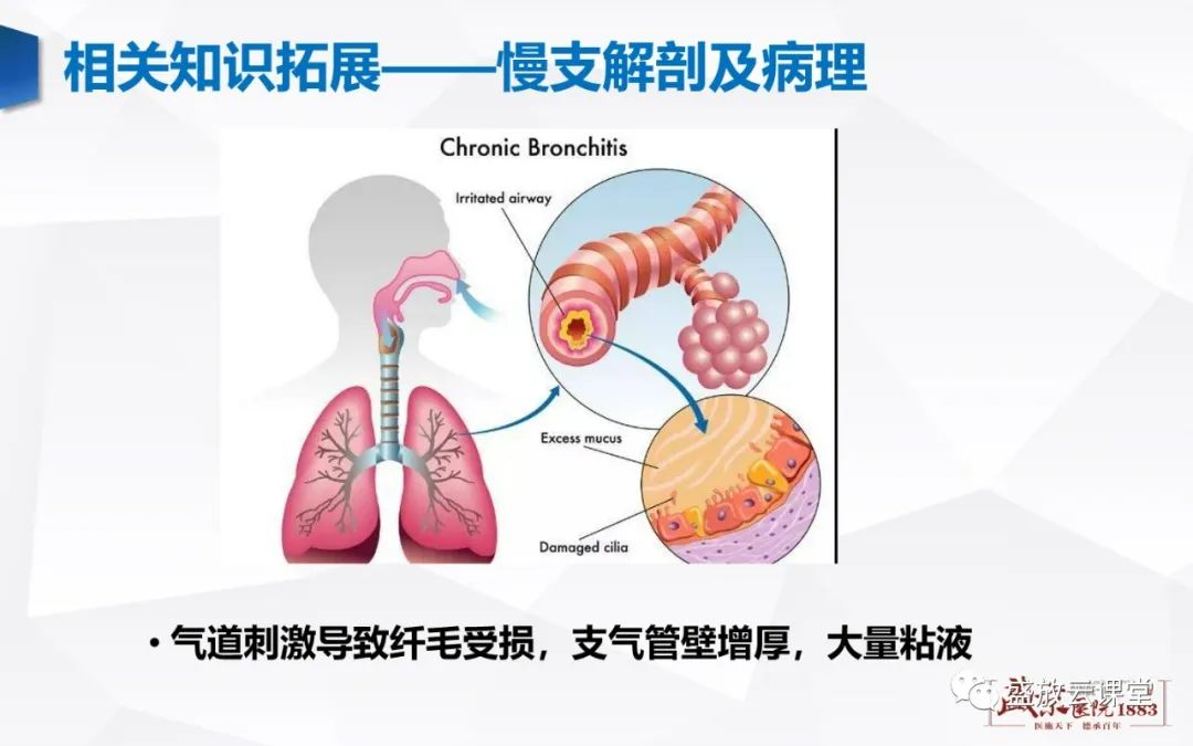 影像PPT - 【PPT】支气管病变-17