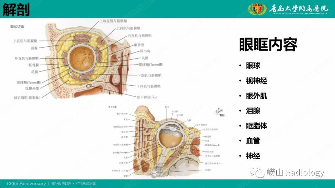 影像PPT - 【病例】Rosai-Dorfman病 & 套细胞淋巴瘤-18