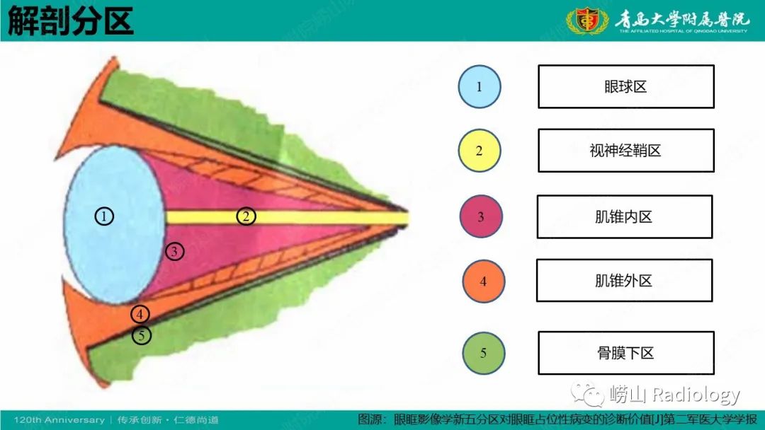 影像PPT - 【病例】Rosai-Dorfman病 & 套细胞淋巴瘤-19