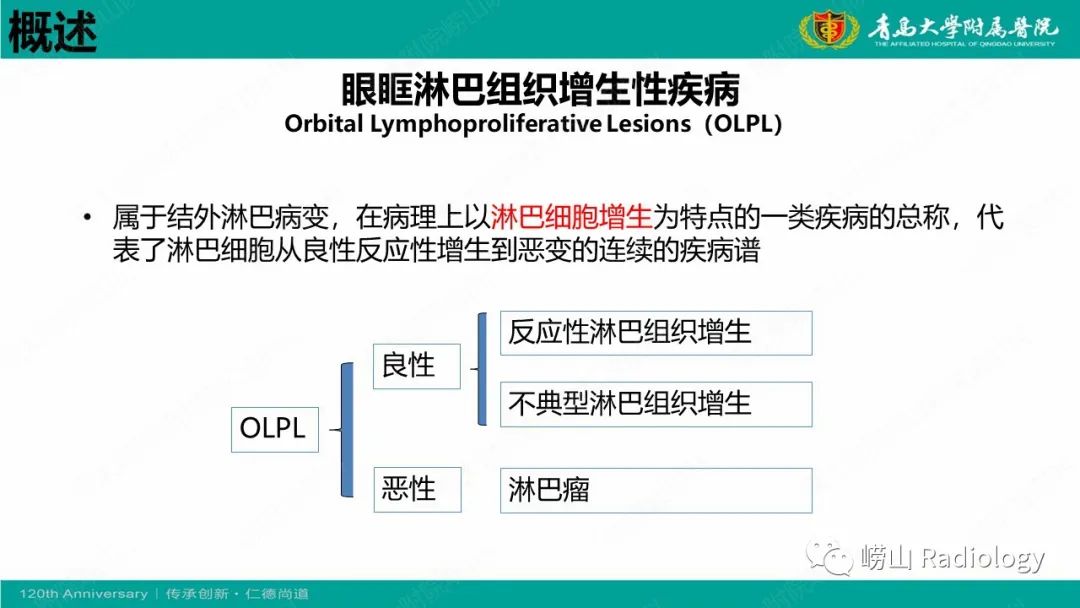 影像PPT - 【病例】Rosai-Dorfman病 & 套细胞淋巴瘤-29