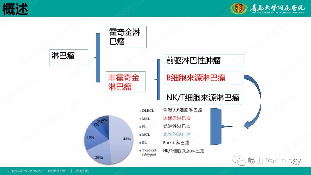 影像PPT - 【病例】Rosai-Dorfman病 & 套细胞淋巴瘤-30