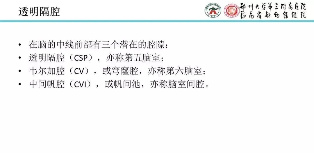 影像PPT - 【PPT】透明隔腔的影像表现及临床意义-2