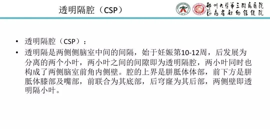 影像PPT - 【PPT】透明隔腔的影像表现及临床意义-3