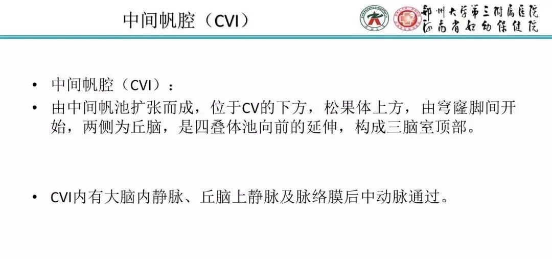 影像PPT - 【PPT】透明隔腔的影像表现及临床意义-5