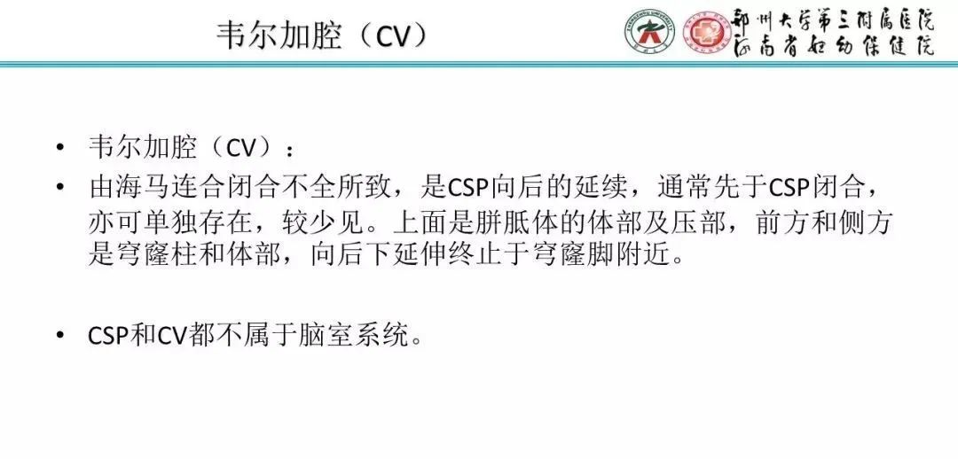 影像PPT - 【PPT】透明隔腔的影像表现及临床意义-4