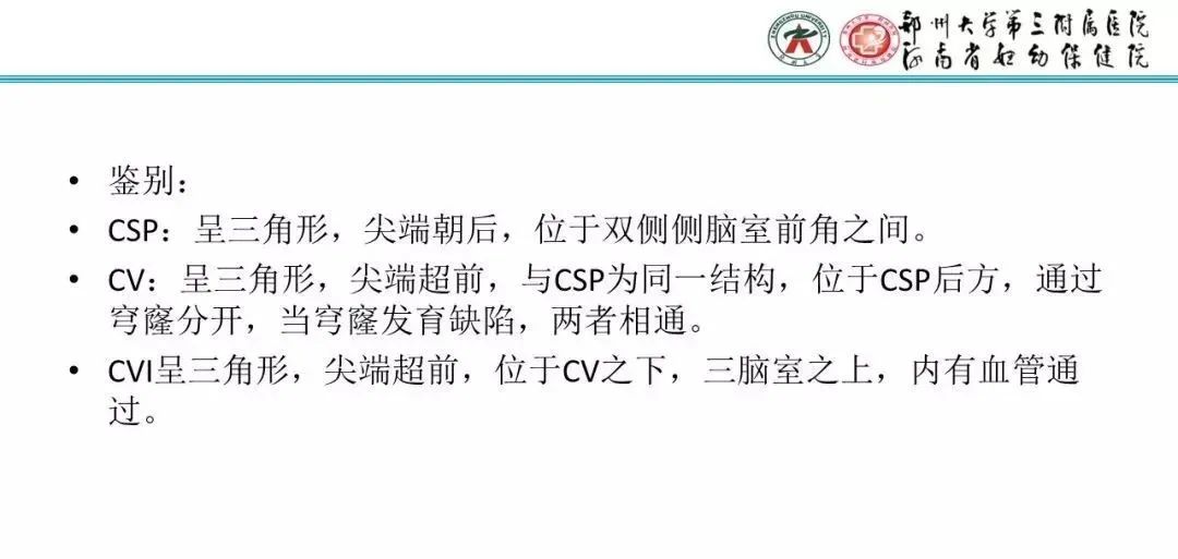 影像PPT - 【PPT】透明隔腔的影像表现及临床意义-6