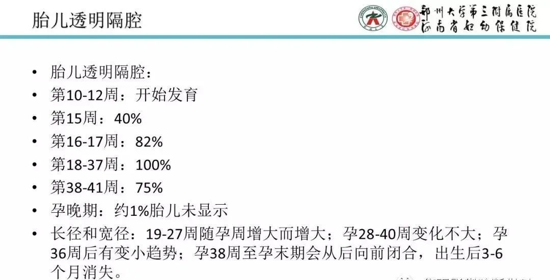 影像PPT - 【PPT】透明隔腔的影像表现及临床意义-9