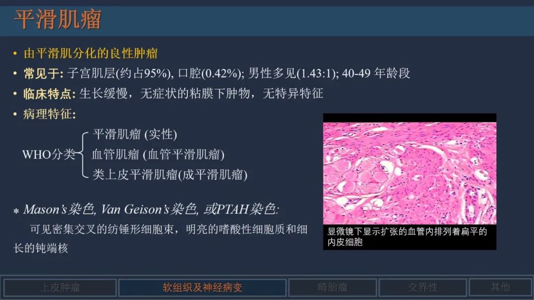 影像PPT - 【PPT】舌良性肿瘤及肿瘤样病变的MR表现及影像与病理对照分析-11 影像PPT - 【PPT】舌良性肿瘤及肿瘤样病变的MR表现及影像与病理对照分析-11
