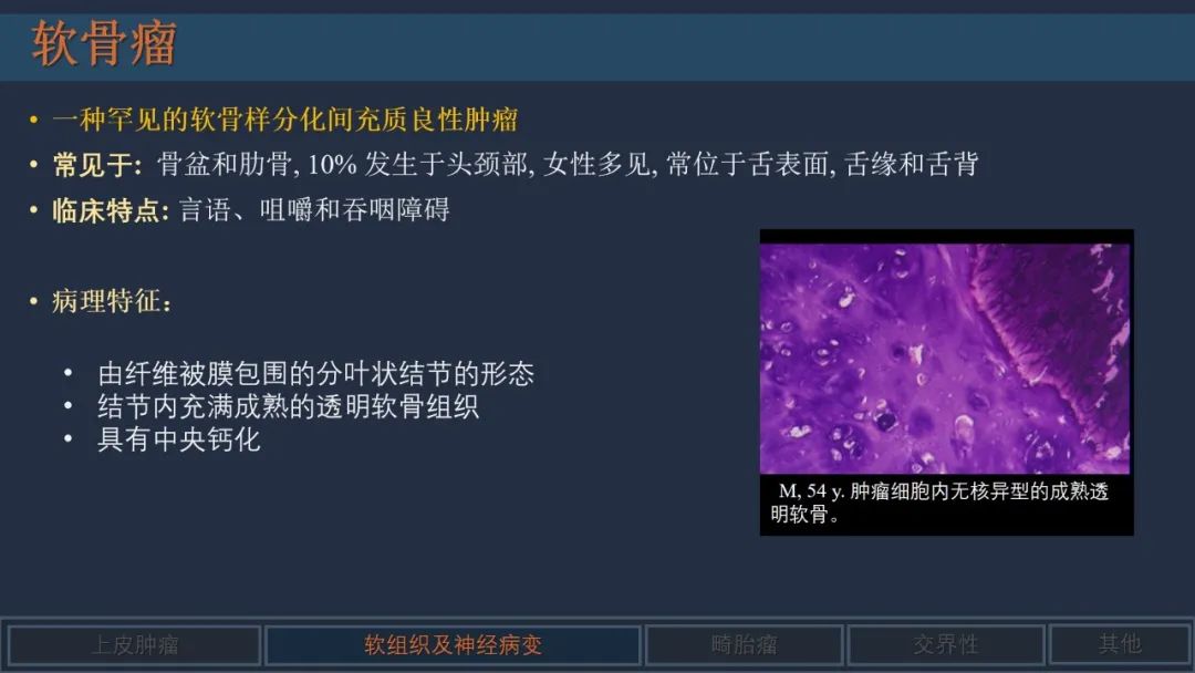 影像PPT - 【PPT】舌良性肿瘤及肿瘤样病变的MR表现及影像与病理对照分析-15 影像PPT - 【PPT】舌良性肿瘤及肿瘤样病变的MR表现及影像与病理对照分析-15