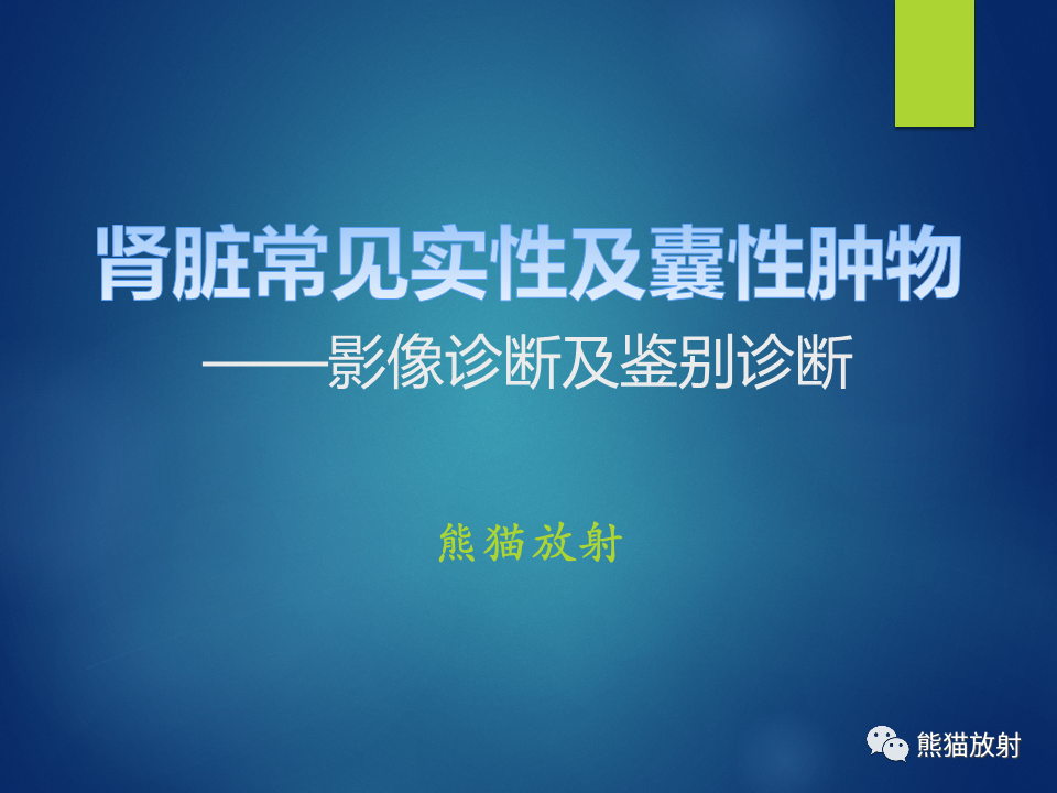 影像PPT - 【病例】肾脏囊肿1例CT影像-12