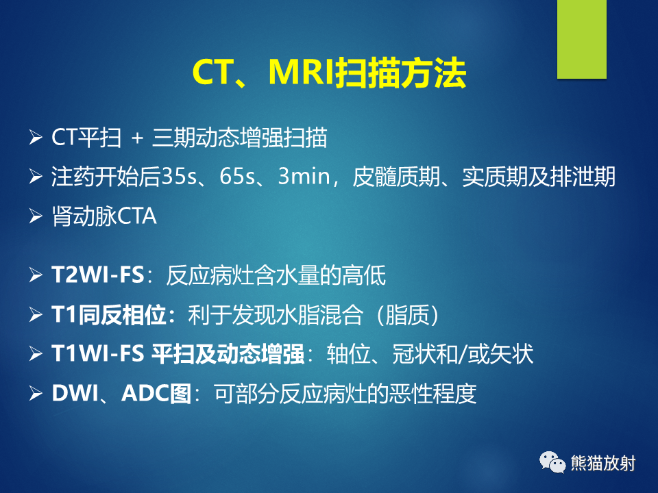 影像PPT - 【病例】肾脏囊肿1例CT影像-13