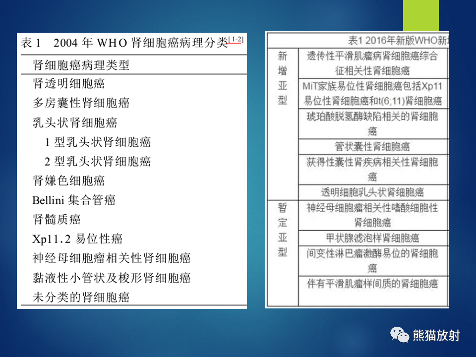影像PPT - 【病例】肾脏囊肿1例CT影像-15