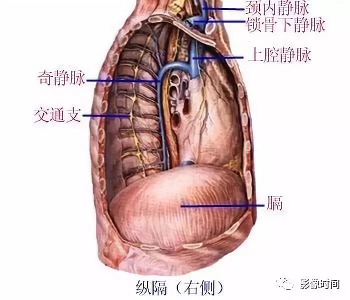 影像PPT - 肺奇叶与奇静脉裂-1 影像PPT - 肺奇叶与奇静脉裂-1