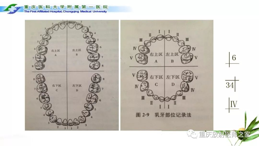 影像PPT - 【PPT】颌骨常见肿瘤及肿瘤样病变的CT诊断及鉴别诊断-3