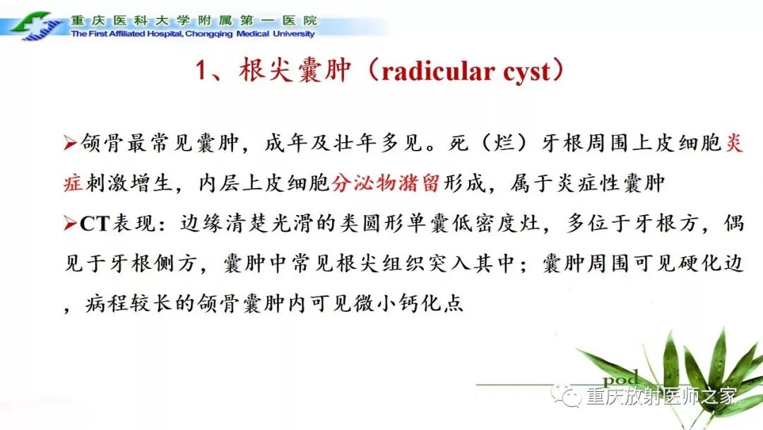 影像PPT - 【PPT】颌骨常见肿瘤及肿瘤样病变的CT诊断及鉴别诊断-6