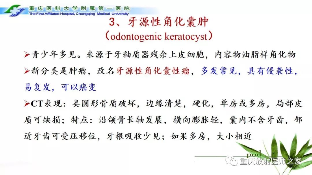 影像PPT - 【PPT】颌骨常见肿瘤及肿瘤样病变的CT诊断及鉴别诊断-13