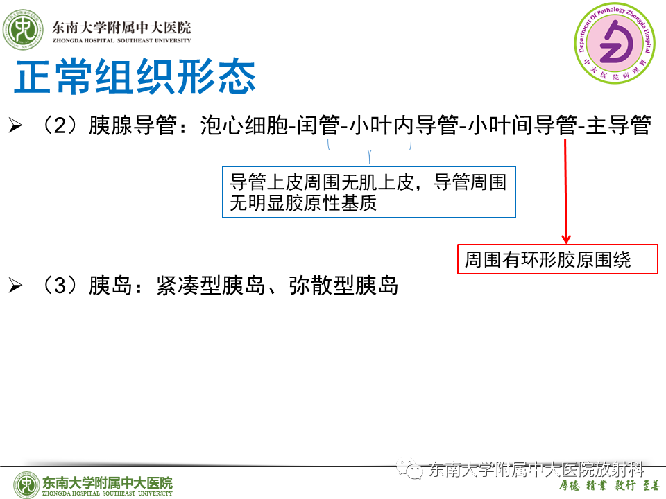 影像PPT - 【PPT】胰腺癌鉴别诊断-27 影像PPT - 【PPT】胰腺癌鉴别诊断-27