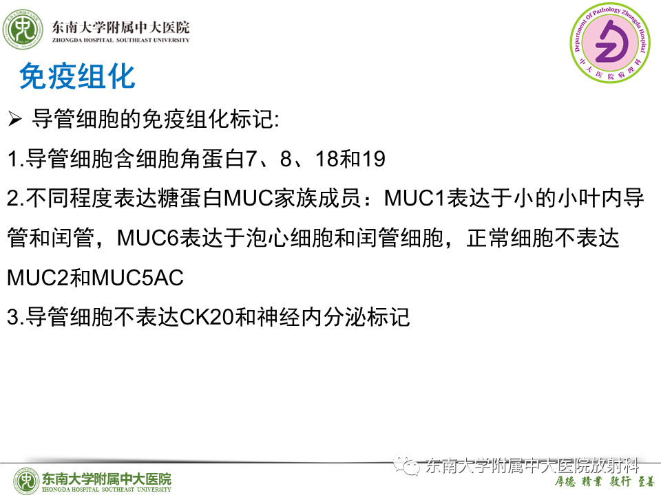 影像PPT - 【PPT】胰腺癌鉴别诊断-29 影像PPT - 【PPT】胰腺癌鉴别诊断-29