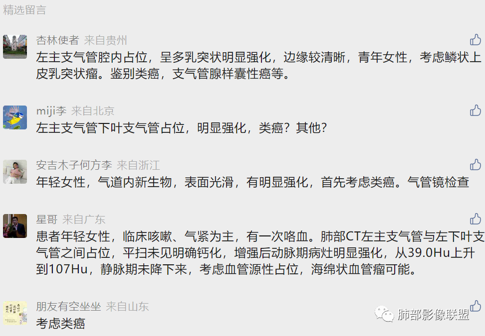影像PPT - 【病例】年轻女性主支气管腔内结节-36 影像PPT - 【病例】年轻女性主支气管腔内结节-36