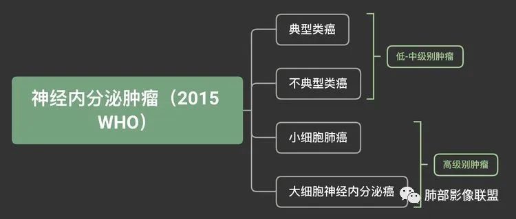 影像PPT - 【病例】年轻女性主支气管腔内结节-40