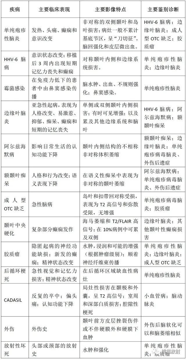 影像PPT - 可致双侧颞叶损害的10种疾病-14 影像PPT - 可致双侧颞叶损害的10种疾病-14