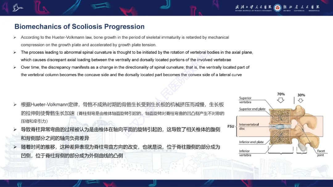 影像PPT - 【PPT】脊柱侧弯影像学评估-5