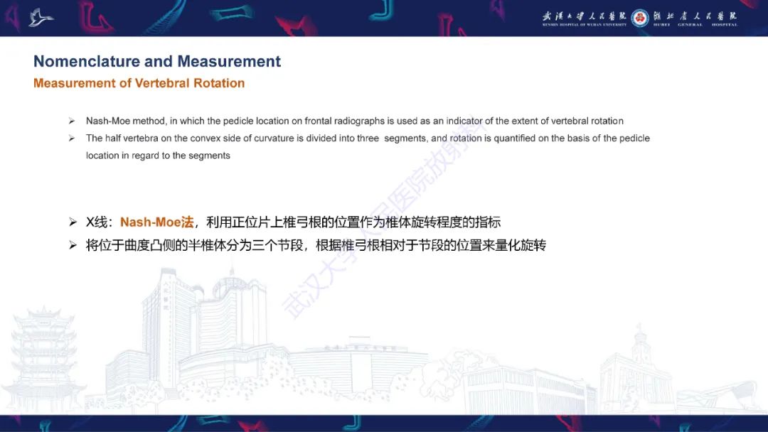 影像PPT - 【PPT】脊柱侧弯影像学评估-19